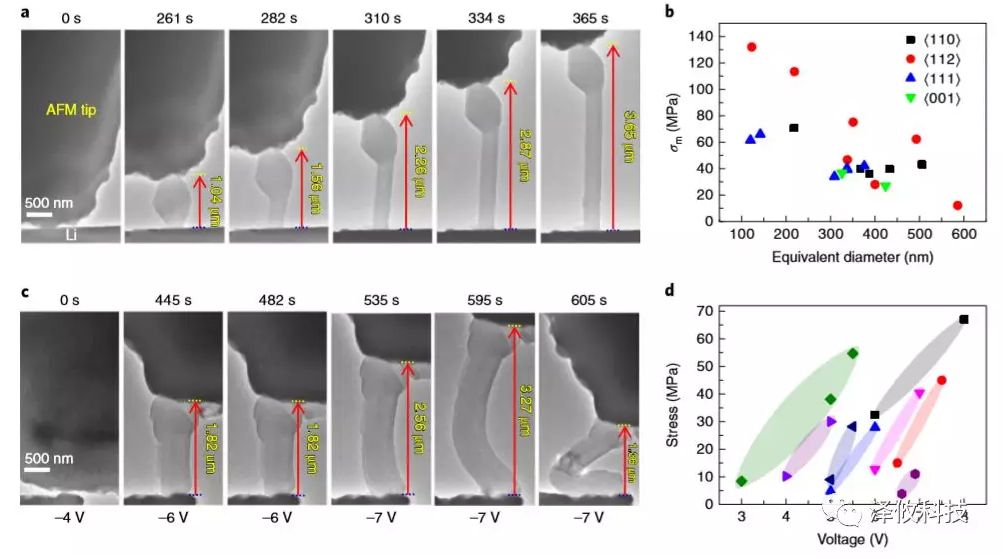 鋰晶須生長(zhǎng)的原位AFM-ETEM成像以及在施加電壓下同時(shí)測(cè)量鋰晶須的應(yīng)力變化。