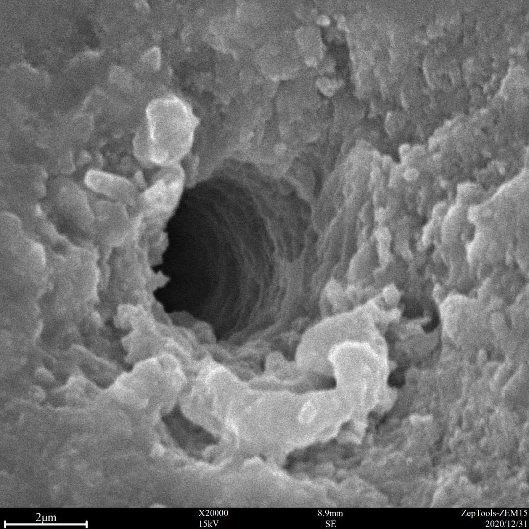 臺(tái)式掃描電鏡2萬倍下的孔洞特寫
