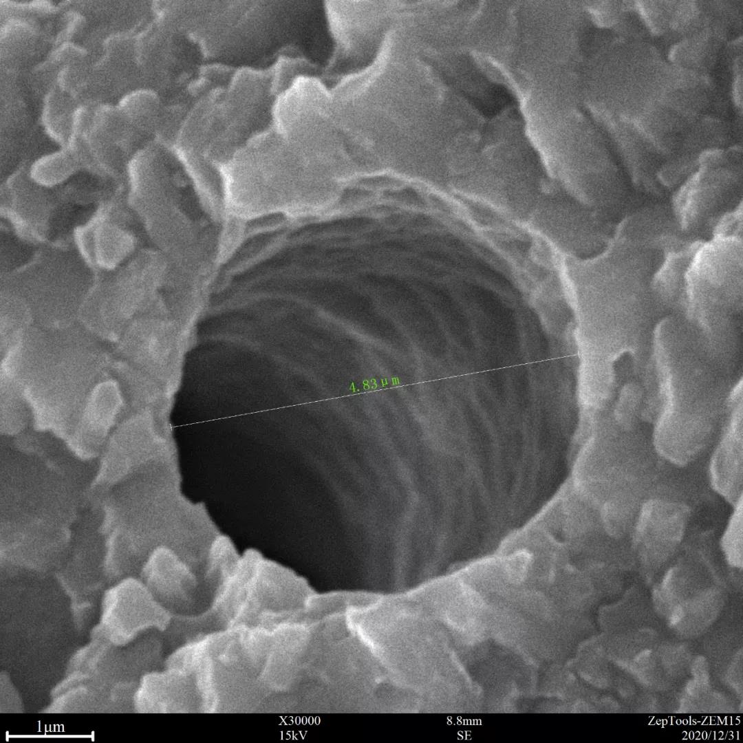 臺(tái)式掃描電鏡3萬倍下的孔洞特寫